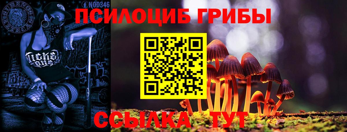 Псилоцибиновые грибы Cubensis Биробиджан